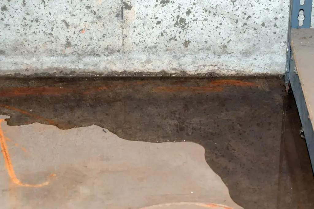 Standing water and seepage on a concrete basement floor next to a wall
