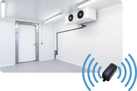 TXH temperature sensor monitoring an empty commercial refrigeration unit