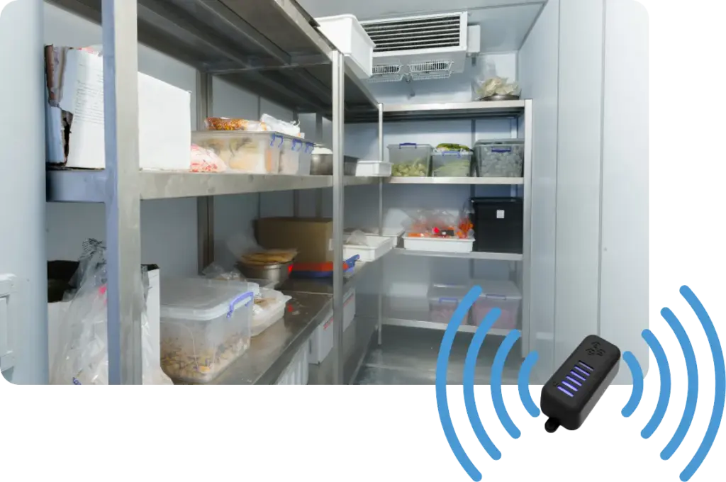 TXH temperature sensor monitoring commercial walk in cooler inventory