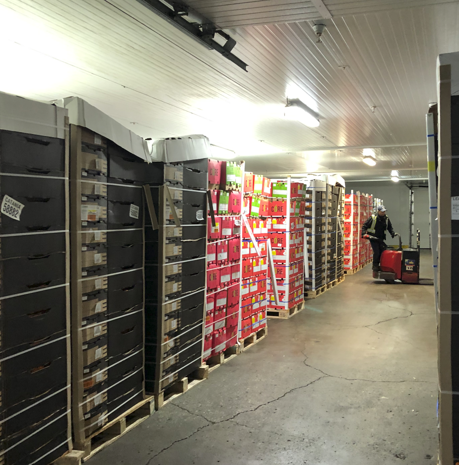 Cold Chain room with food